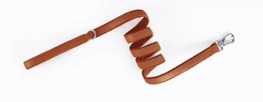 Airtag Dog Collar & Leash