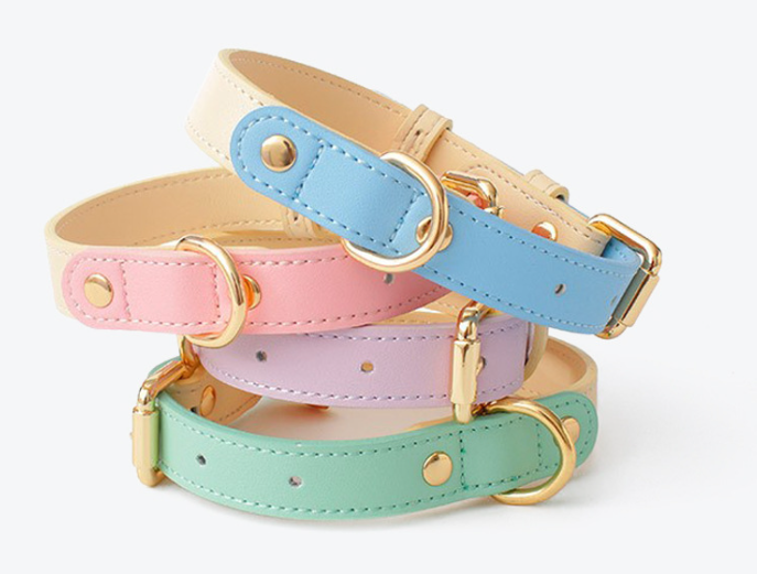 Impression Dog Collar & Leash - Blue