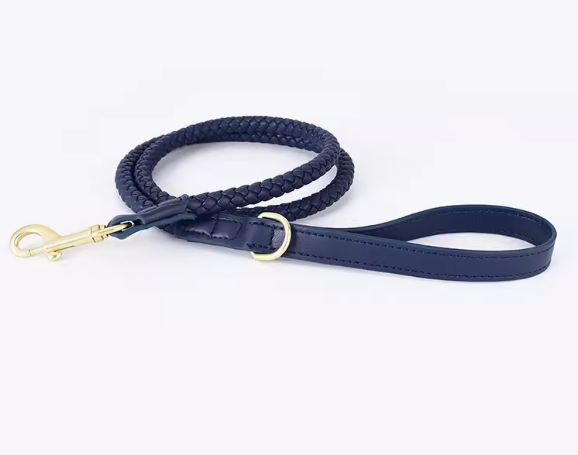Braided Leather Dog Collar & Leash