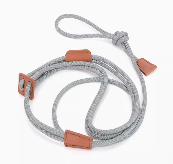 Integrated Dog Harness and Leash