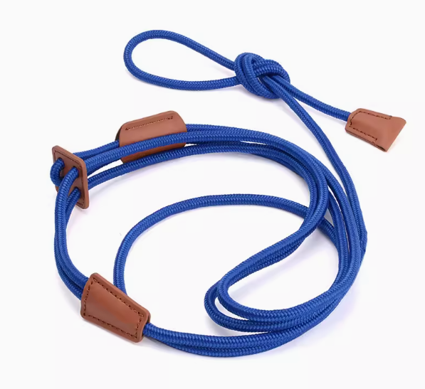 Integrated Dog Harness and Leash