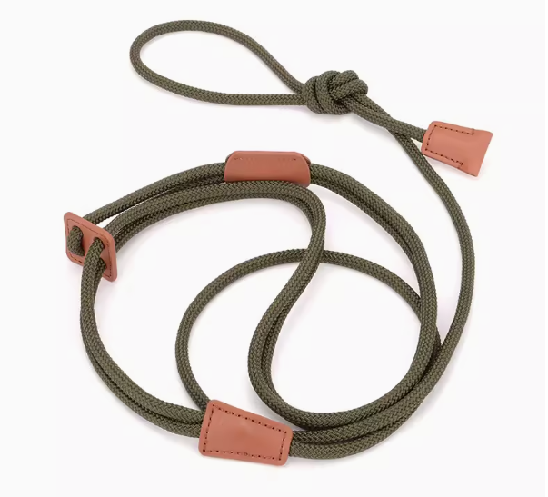 Integrated Dog Harness and Leash