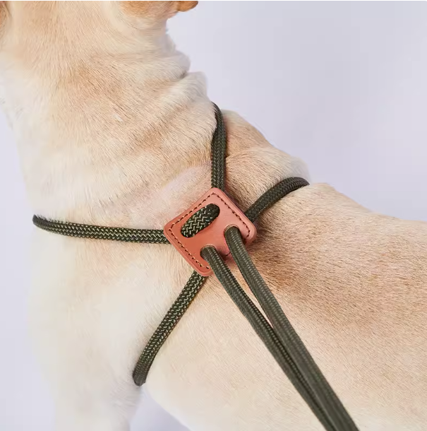 Integrated Dog Harness and Leash