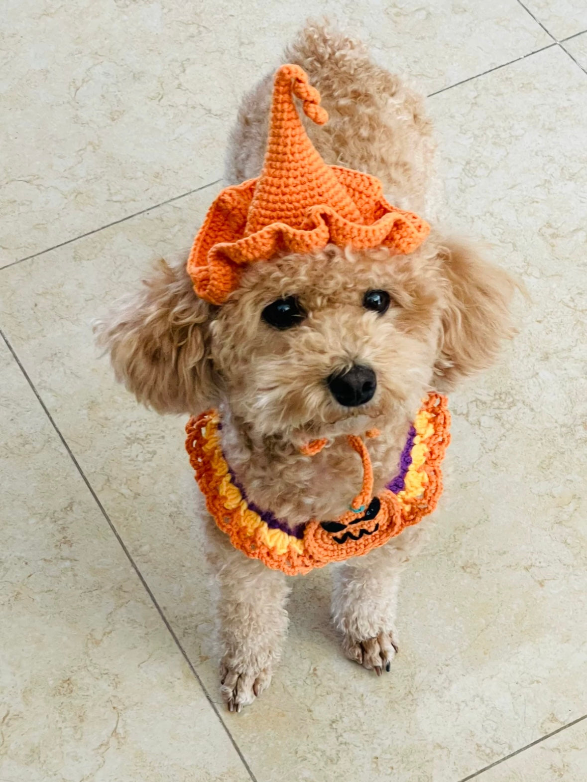 Handcrafted Crochet Collar - Pumpkin