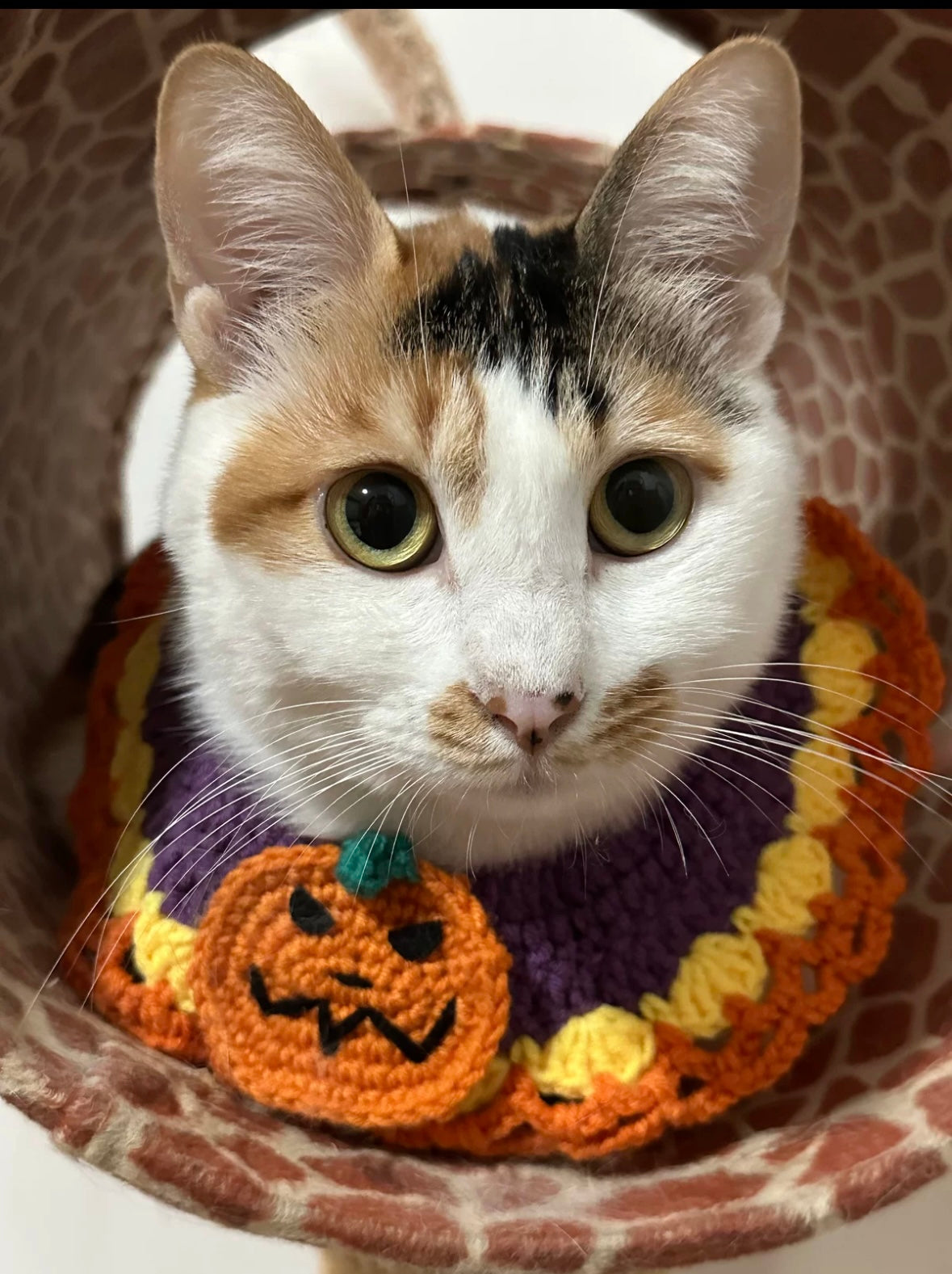 Handcrafted Crochet Collar - Pumpkin
