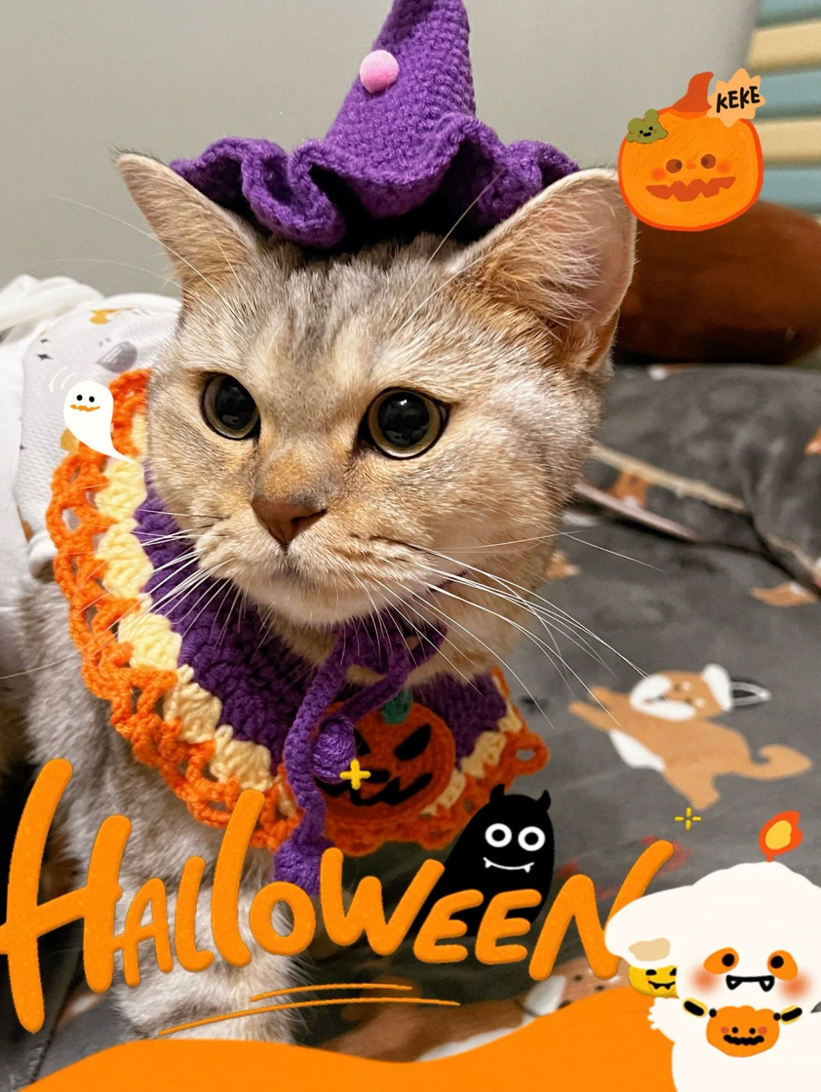Handcrafted Crochet Collar - Pumpkin