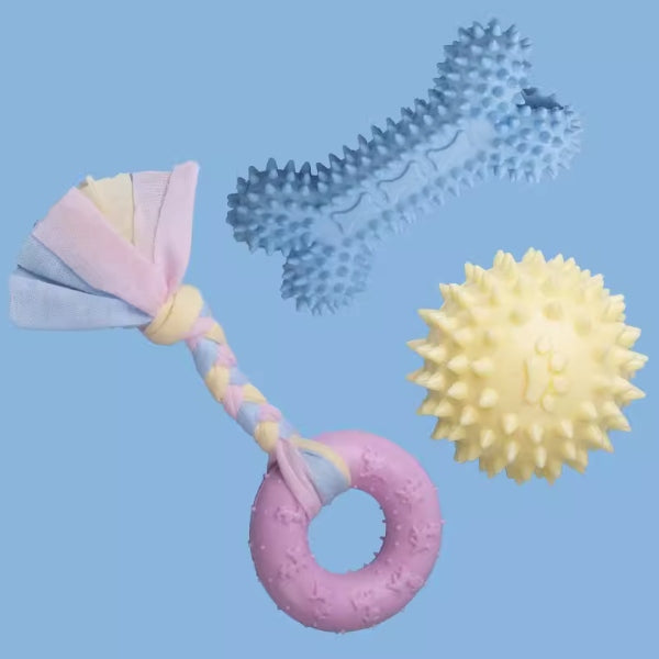 Dog Chewing toys for teething (Combo Set)