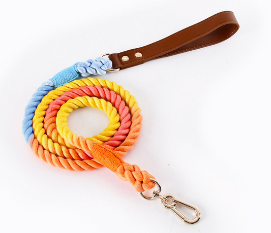 Rainbow Cotton Leash | Brown Handle