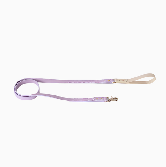 Impression Dog Leash - Purple