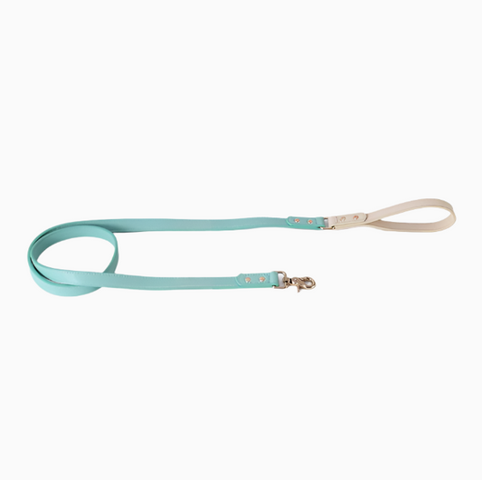 Impression Dog Leash - Green