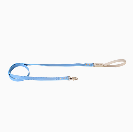 Impression Dog Leash - Blue