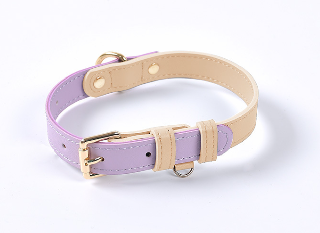 Impression Dog Collar & Leash - Purple