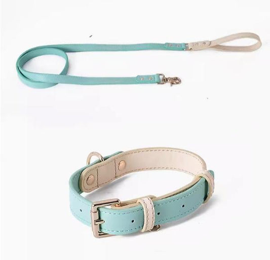 Impression Dog Collar & Leash - Green