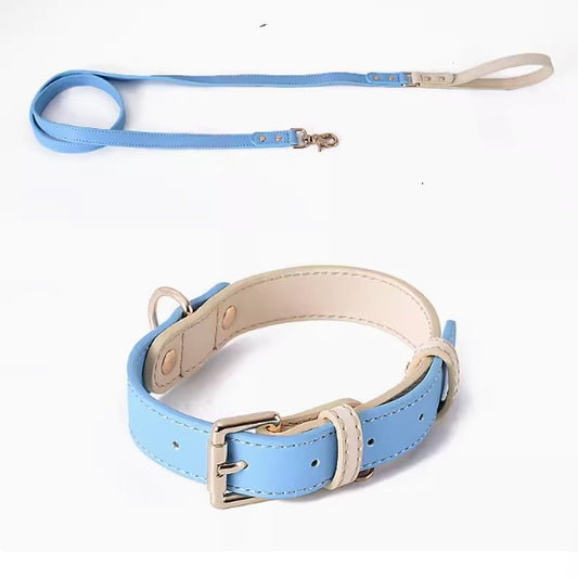 Impression Dog Collar & Leash - Blue