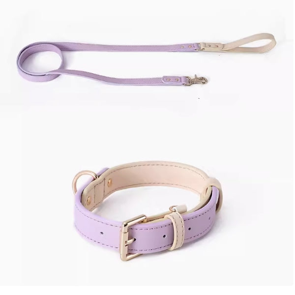 Impression Dog Collar & Leash - Purple