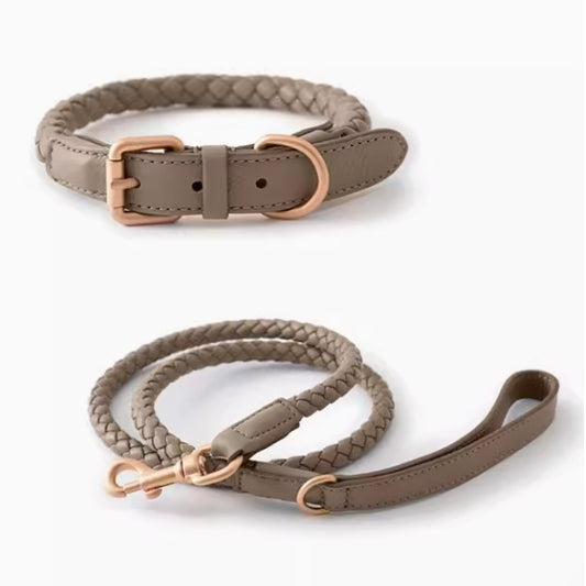 Braided Leather Dog Collar & Leash