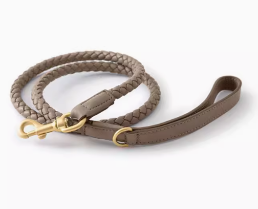 Braided Leather Dog Collar & Leash