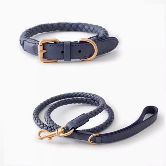 Braided Leather Dog Collar & Leash