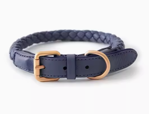 Braided Leather Dog Collar & Leash