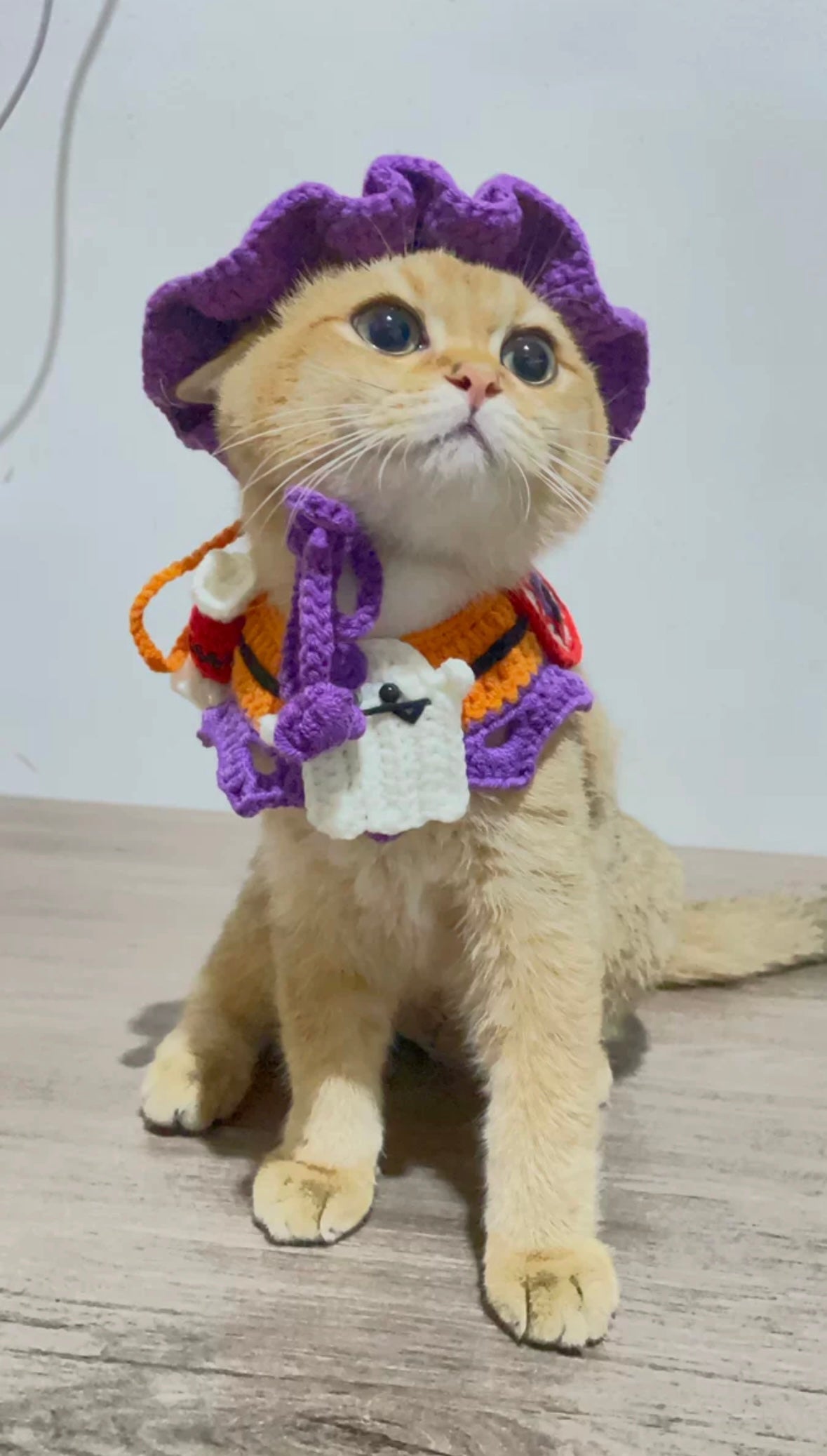 Handcrafted Crochet Collar and Hat - Ghost (purple hat)