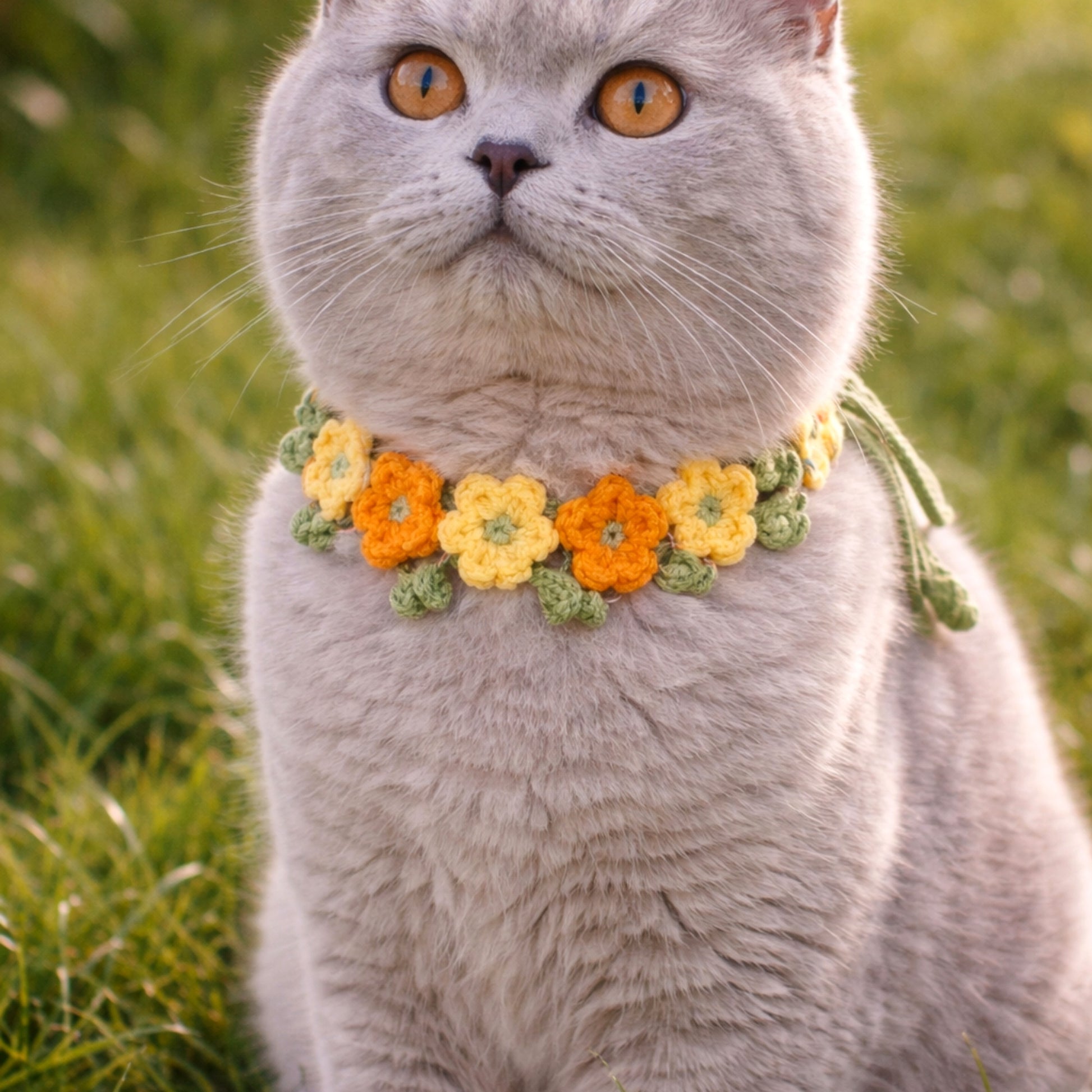 cat wearing handmade crochet flower collar